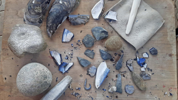 Anzuelos de Concha: Tecnología de comunidades pescadoras del norte de Chile desde hace 8.000 años al presente