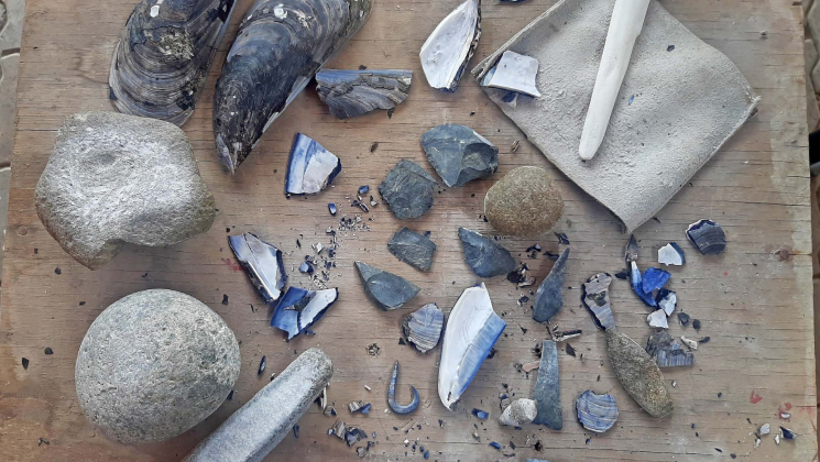 Anzuelos de Concha: Tecnología de comunidades pescadoras del norte de Chile desde hace 8.000 años al presente