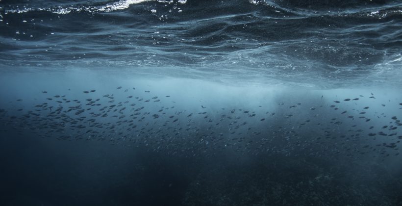 Investigadores CEAZA se unen a programa internacional de las Naciones Unidas para abordar la acidificación del océano