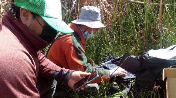 Investigación explica el impacto de los eventos climáticos y marinos en el nivel de agua del humedal El Culebrón