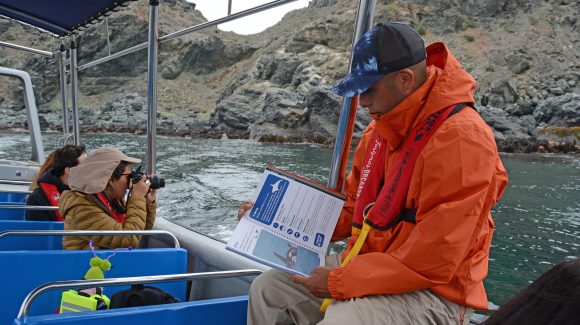 Invitan a comunidad de Punta de Choros y Chañaral de Aceituno a participar en Masterclass en Ecoturismo “SOS Océano”