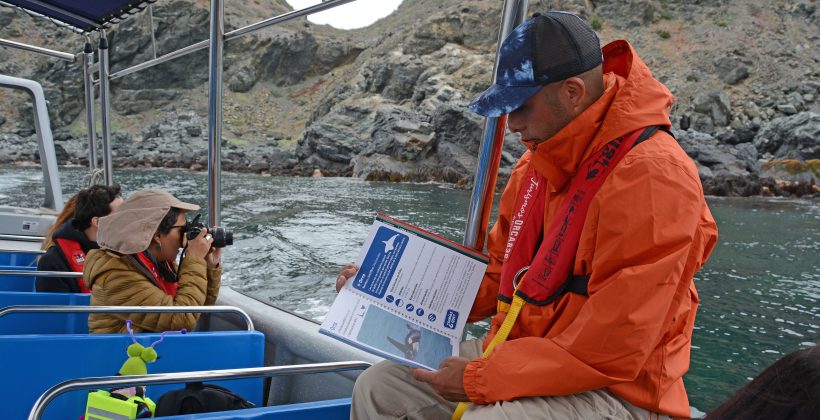 Invitan a comunidad de Punta de Choros y Chañaral de Aceituno a participar en Masterclass en Ecoturismo “SOS Océano”