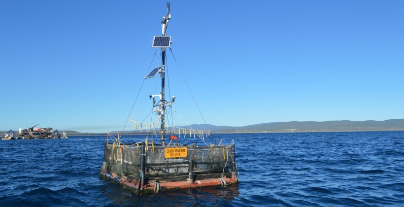 Estación de monitoreo une a la ciencia e industria ostionera en Tongoy