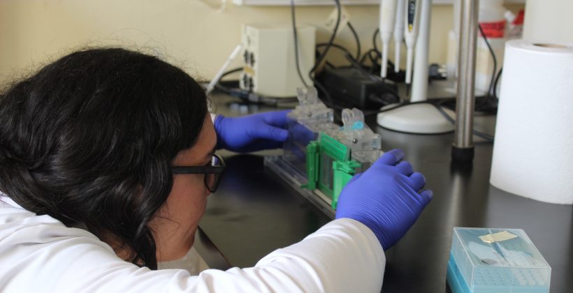 FIGEMA: El trabajo del laboratorio que impulsa la acuicultura sostenible en la Región de Coquimbo FIGEMA: El trabajo del laboratorio que impulsa la acuicultura sostenible en la Región de Coquimbo