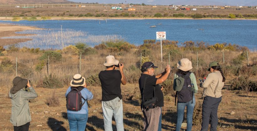 Información científica sobre red de humedales costeros de la Región de Coquimbo ya está disponible para la comunidad