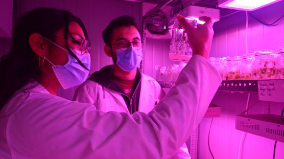 Científicos nacionales y extranjeros exploran estrategias para el desarrollo de la agricultura en zonas áridas