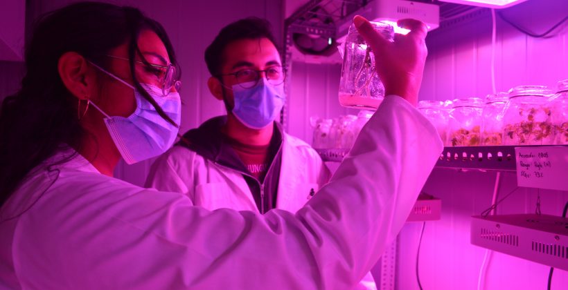 Científicos nacionales y extranjeros exploran estrategias para el desarrollo de la agricultura en zonas áridas