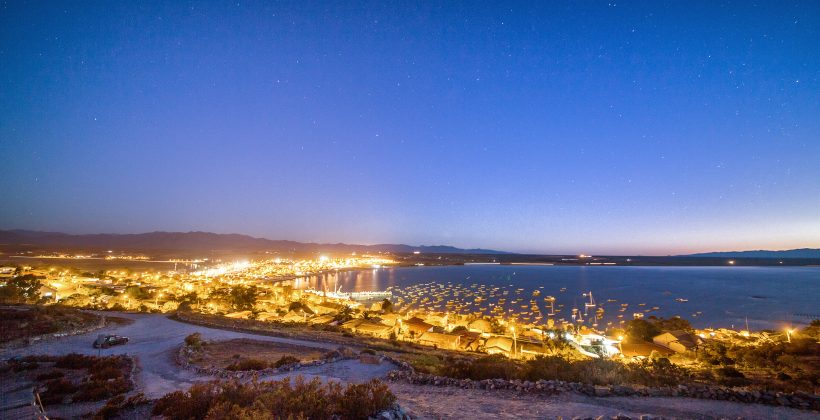 Estudio revela daños visuales en crustáceos de playas por exposición a luz artificial nocturna