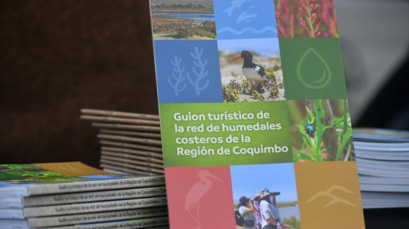Promover la identidad local: Destacan labor del Centro Científico CEAZA por sus iniciativas que unen ciencia y el turismo