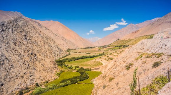 Un humedal que depura agua y educa: La innovadora propuesta que nace en pisquera del valle de Elqui