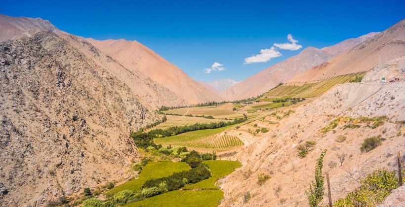 Un humedal que depura agua y educa: La innovadora propuesta que nace en pisquera del valle de Elqui