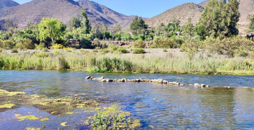Investigan cómo el cambio climático reduce la diversidad microbiana en la cuenca del río Elqui