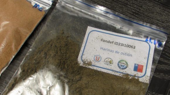 Científicos de CEAZA y UCN avanzan en la creación de alimentos sustentables para peces basado en subproductos pesqueros de la Región de Coquimbo