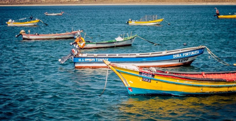 Centro Científico CEAZA plantea la necesidad de avanzar en sistema de monitoreo de “marea roja” para proteger a la pesca y acuicultura