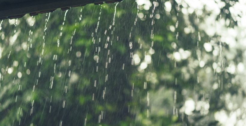 ¿Será un 2026 lluvioso? ¿Llegará el Fenómeno de El Niño?