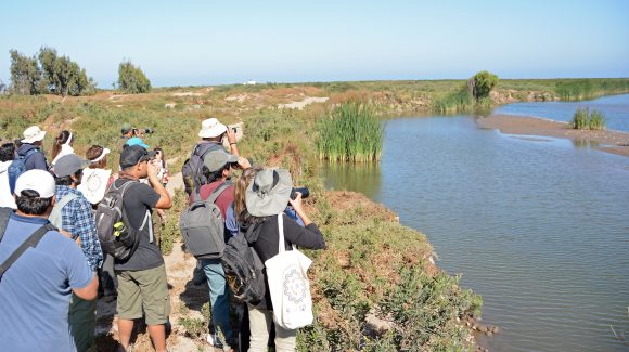 Impulsarán pronósticos de aguas subterráneas en la cuenca del Elqui para fortalecer la gestión hídrica