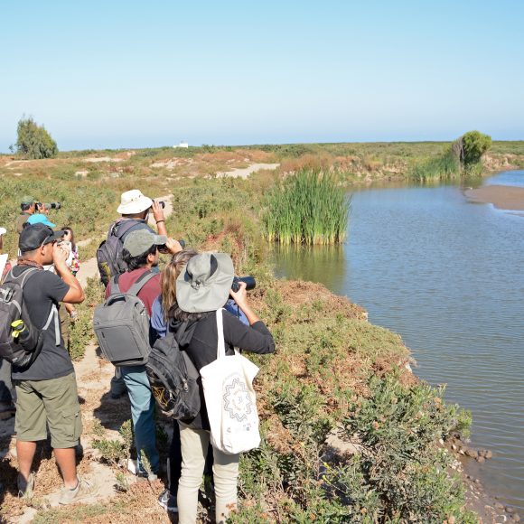 Impulsarán pronósticos de aguas subterráneas en la cuenca del Elqui para fortalecer la gestión hídrica