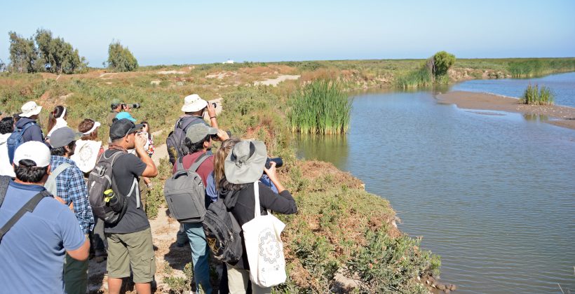 Impulsarán pronósticos de aguas subterráneas en la cuenca del Elqui para fortalecer la gestión hídrica